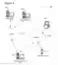 Fig. 02 - Keyword bidding strategy for novel concepts