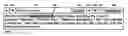 Fig. 01 - Automated creation and delivery of database content
