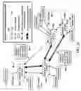 Fig. 37 - Conference server redundancy