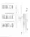 Fig. 28 - Contention detection with modified message format