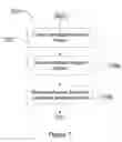 Fig. 08 - Propagation of certificate revocation information