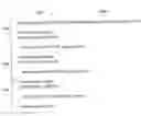 Fig. 01 - Low-latency, incremental rendering in a content framework