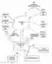 Fig. 01 - Automatic generation of content recommendations weighted by social network context