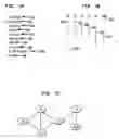 Fig. 08 - Compiler register allocation and compilation