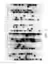 Fig. 03 - Method for producing transgenic rats