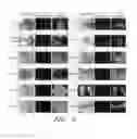 Fig. 07 - Method for producing transgenic rats