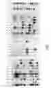 Fig. 08 - Method for producing transgenic rats
