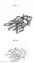 Fig. 08 - Coleopteran-resistant transgenic plants and methods of their production