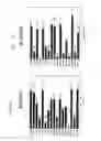 Fig. 06 - Geminivirus Resistant Transgenic Plants