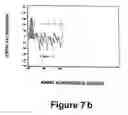 Fig. 13 - Nucleic acids encoding monomers of a type II serine proteinase inhibitor