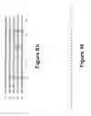Fig. 17 - Nucleic acids encoding monomers of a type II serine proteinase inhibitor