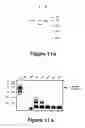 Fig. 18 - Nucleic acids encoding monomers of a type II serine proteinase inhibitor