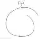 Fig. 04 - Wire frame to support bathing suit bottom, athletic supporter, female undergarment or other garment held to the body by spring pressure