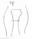 Fig. 06 - Wire frame to support bathing suit bottom, athletic supporter, female undergarment or other garment held to the body by spring pressure