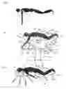 Fig. 02 -  Holistic face-down recovery apparatus and method therefor