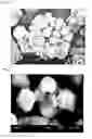 Fig. 03 - Process for carrying out crystallization