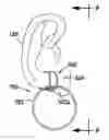 Fig. 01 - Apparatus for suspending objects from ears