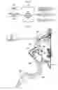 Fig. 02 - Accelerator pedal system