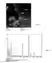Fig. 02 - Preparation of iron-titanium nanoparticles