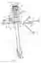 Fig. 02 - String percussion instrument