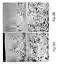 Fig. 08 - Highly microporous thermoplastic/bismaleimide semi-interpenetrating polymer network