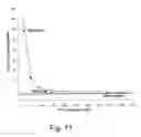 Fig. 11 - Highly microporous thermoplastic/bismaleimide semi-interpenetrating polymer network