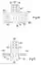 Fig. 06 - Electrical switching device