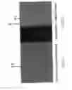 Fig. 06 - Charged-Particle Beam System