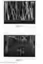 Fig. 02 - Nanofiber and method for fabricating the same