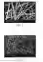 Fig. 04 - Nanofiber and method for fabricating the same