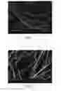 Fig. 05 - Nanofiber and method for fabricating the same