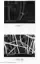 Fig. 06 - Nanofiber and method for fabricating the same
