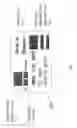 Fig. 02 - SYSTEM AND METHOD FOR MAGNETIC FIELD EXPOSURE INDICATION