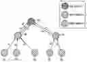 Fig. 01 - Method for transmitting sensor data in sensor network including pair node