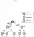 Fig. 05 - Method for transmitting sensor data in sensor network including pair node