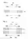 Fig. 02 - MICROWAVE DETECTION SYSTEM AND METHOD FOR DETECTING INTRUSION TO AN OFF-LIMITS ZONE