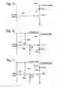 Fig. 04 - Organic Light Emitting Diode Display on a Flexible Substrate