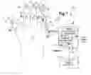 Fig. 02 - Virtual input device for computing