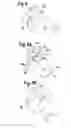 Fig. 07 - Virtual input device for computing