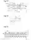Fig. 08 - Reduction of cross-talk in vertical direction for a dual view display devices
