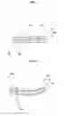 Fig. 09 - Flexural liquid crystal panel and liquid crystal device