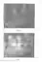 Fig. 02 - Method for performing a contrast vision test