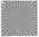 Fig. 01 - Three-dimensional holographic ring traps