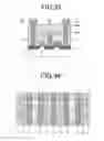 Fig. 20 - Semiconductor memory