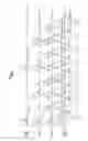 Fig. 02 - Multi bit flash memory device and method of programming the same