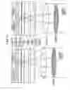 Fig. 12 - OPTICAL INFORMATION RECORDING/REPRODUCING APPARATUS AND OPTICAL INFORMATION RECORDING MEDIUM