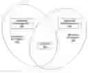 Fig. 01 - Concurrent association with multiple wireless networks