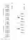 Fig. 04 - METHOD AND SYSTEM FOR REDISTRIBUTION OF COMMUNICATION DEVICES IN A WIRELESS NETWORK