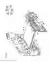 Fig. 07 - Image forming apparatus with a removable transferring unit