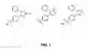 Fig. 02 - Radiolabeled Arylsulfonyl Compounds and Uses Thereof